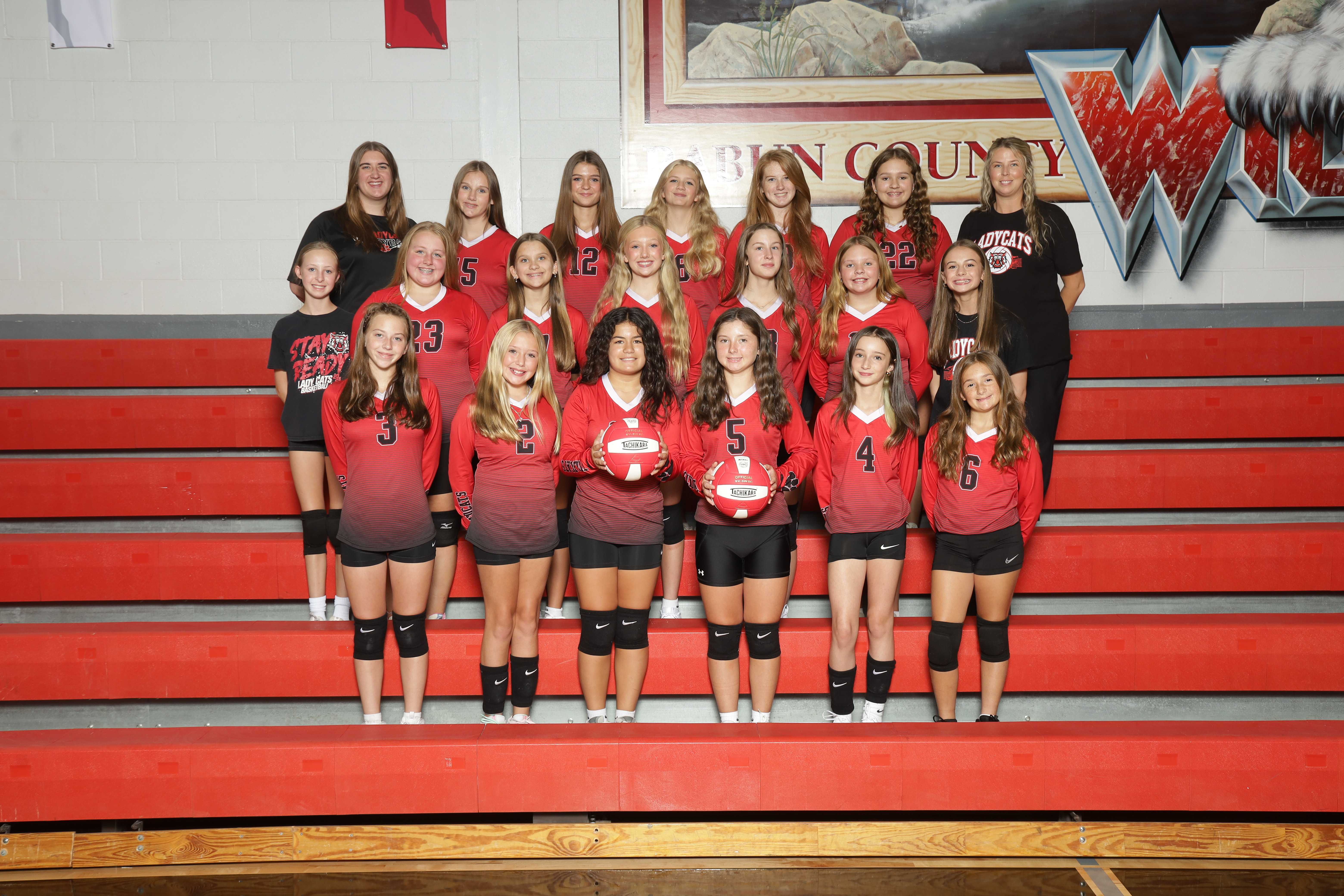 volleyball team 